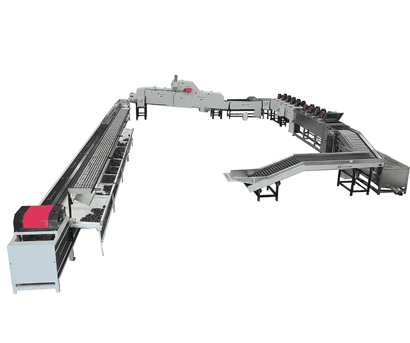 images/1747643399708avocado grading line.png